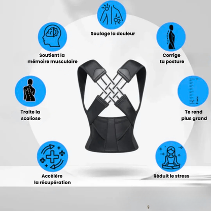 Saazoo | Adjustable Lower Back Support Belt